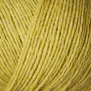 Merino Quince RMS Knitting for Olive